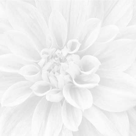 Laparet Crisantemo Панно из 3-х шт 36-05-00-463-0 60х60 Sigma