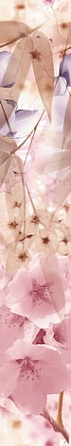 Дельта Керамика Sakura Бордюр B300D131 4,5х30 Sakura 20х30