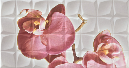 Rocersa Dec. Orchid C Blanco BLN Декор 31,6x59,34