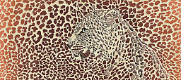 Гербера Safari Декор многоцветный (GB2G111) 20x44