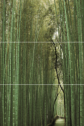 Bambu Панно (из 3-х плиток ) D/E/F 50х75