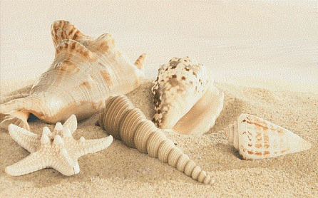 Gracia Ceramica sand decor 01 250х400 мм - 13 шт.