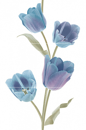 Keros Tulips Frios Панно (из 3-х плиток) 50х75