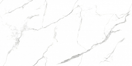 Керамогранит Ceradim белый 60х120 полированный Статуарио Вандерфул