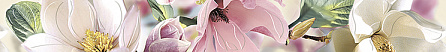Azori Бордюр "Magnolia'' 7,5x63