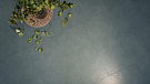 Керамогранит Kerama Marazzi Про Чементо