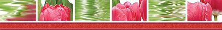Нефрит Тюльпаны Бордюр 77-05-47-160-0 50х7