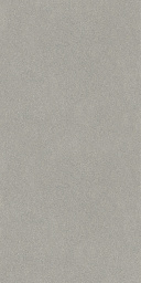серый матовый обрезной DD519320R 60х119,5