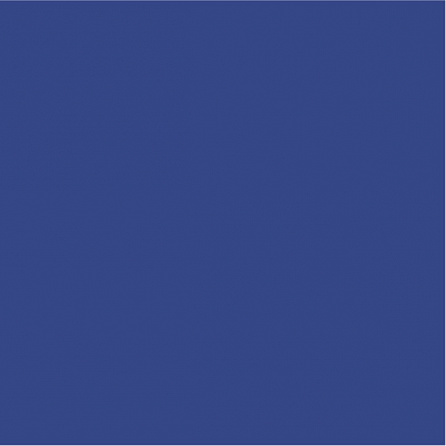 Kerama Marazzi синий SG924400N 30х30 (Орел)