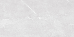 Керамическая плитка Laparet Savoy настенная серый 08-00-06-2460 20х40