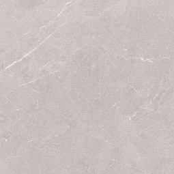 серый 60х60 Матовый