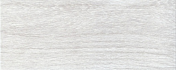 светло-серый SG410320N 20,1х50,2 (Орел)